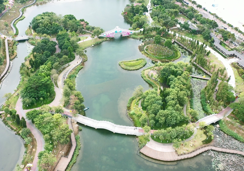 重建水下生態(tài)系統(tǒng)，提升水體自凈能力